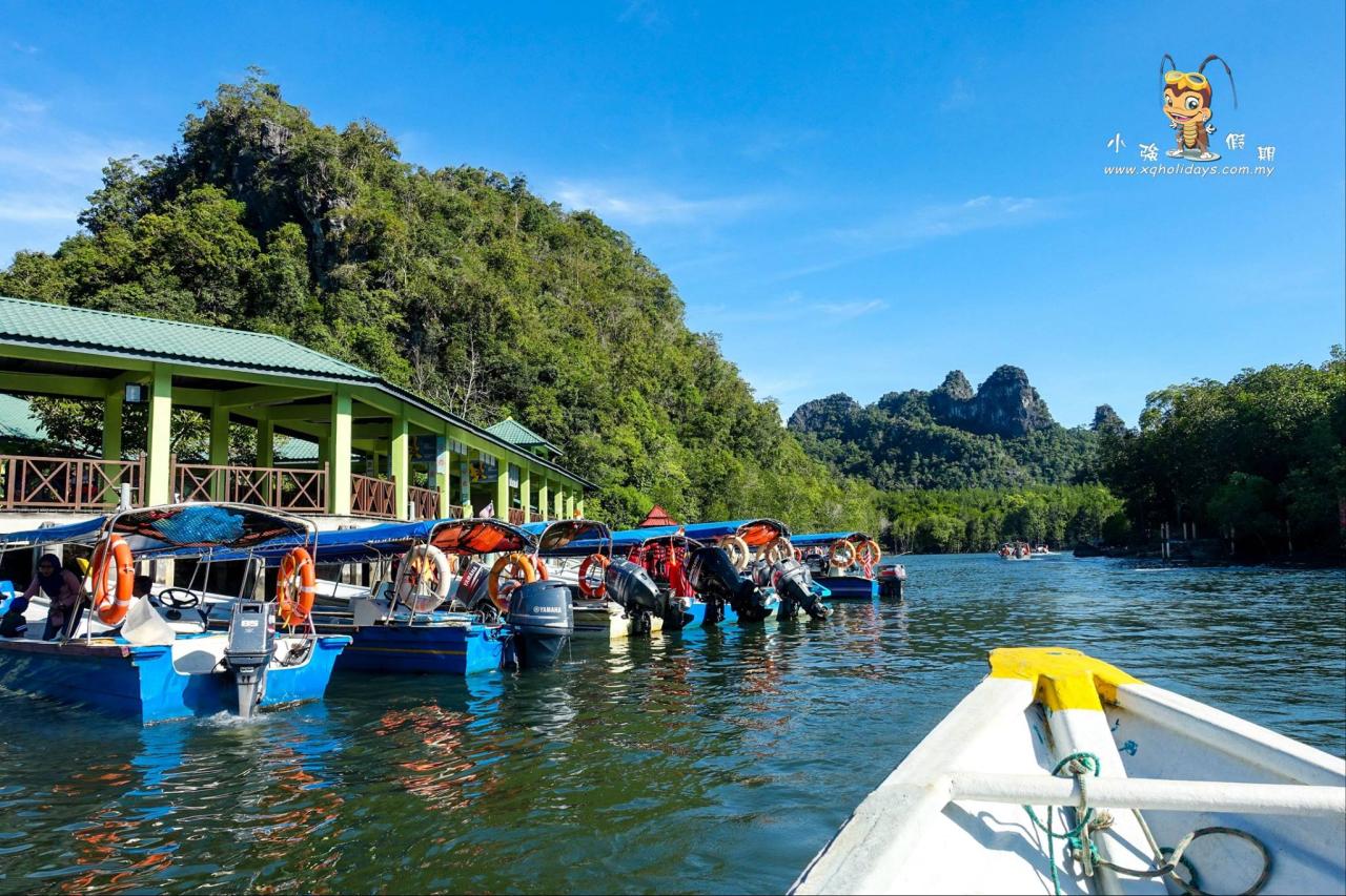 Jelajahi Keindahan Mangrove Langkawi: Tur Ekosistem Unik